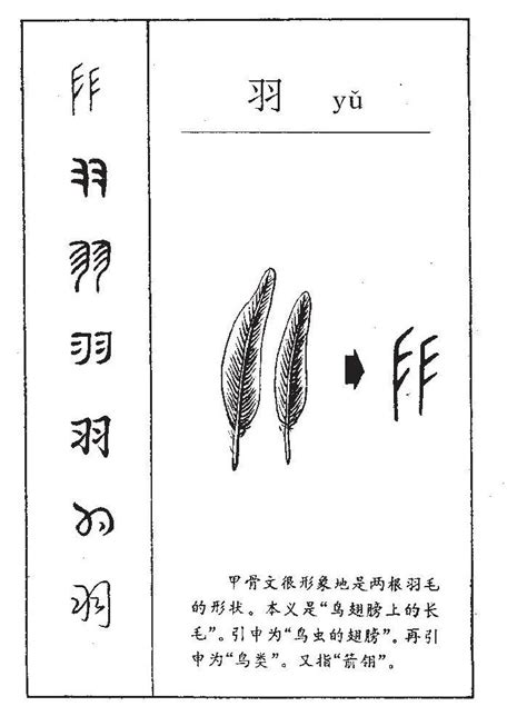 羽字旁的字